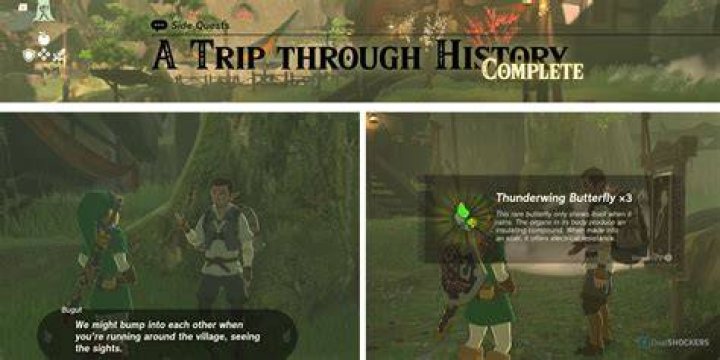 A Journey Through Age, Wiki, And Biography