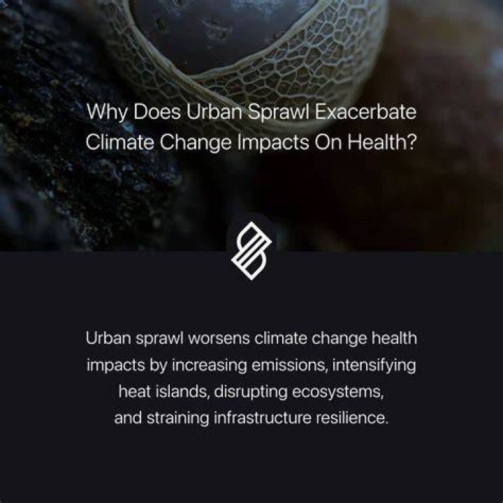 Uncovering Impacts, Solutions, And Safeguards